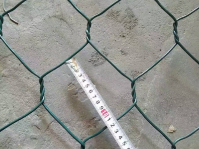 生態格網圖片3