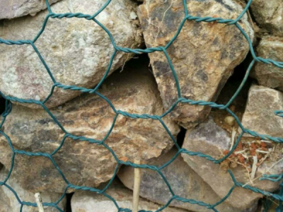 生態格網圖片4